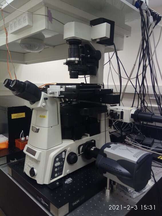 הרחבנו את השיטה המיקרוסקופית // צילום: דוברות האוניברסיטה העברית